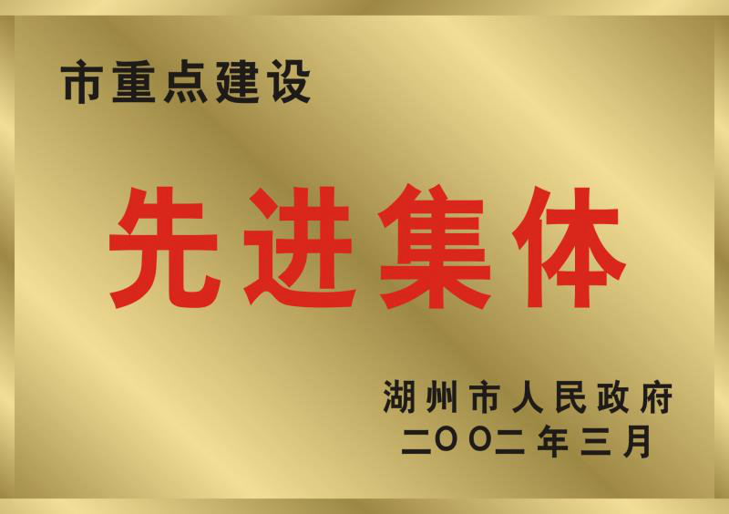 2001年度湖州市重點建設(shè)先進(jìn)集體